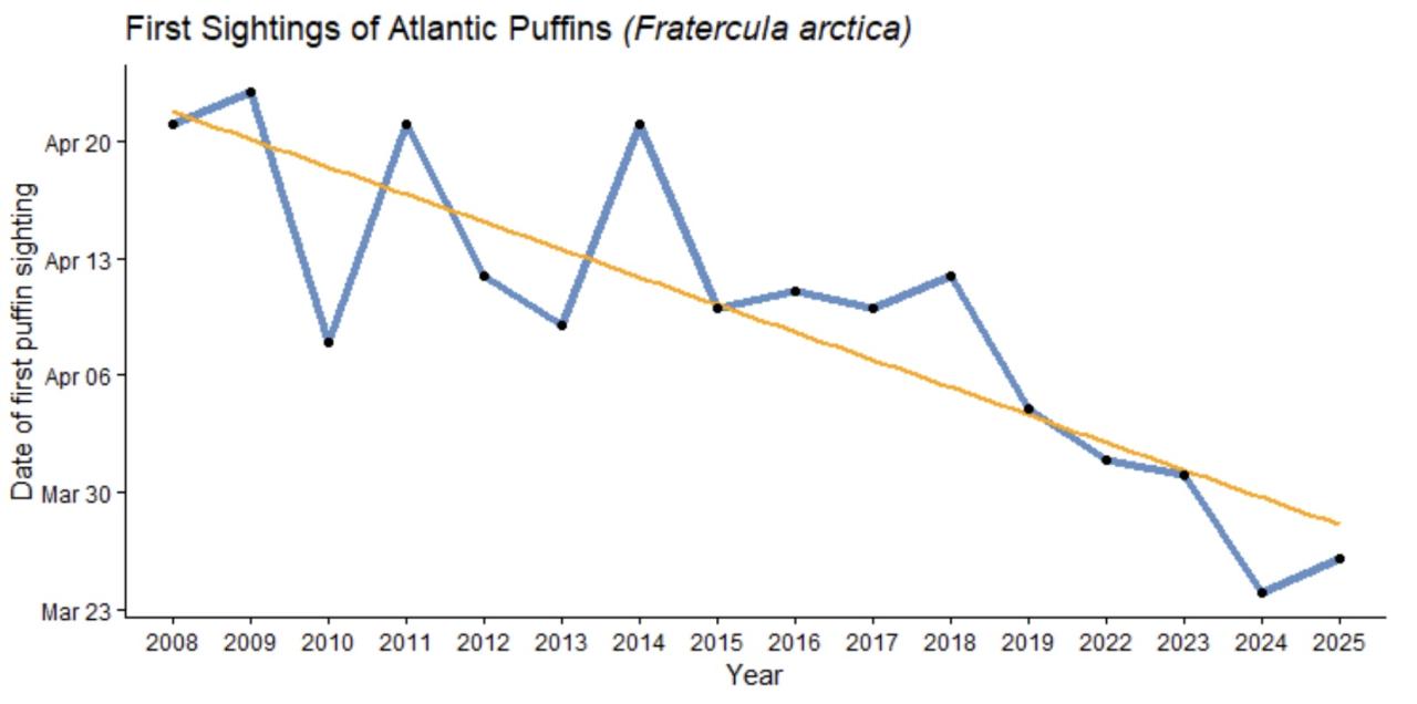 Graph showing Puffin arrival times