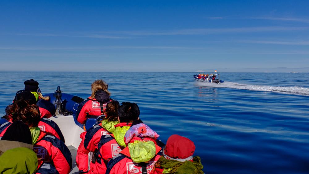 Our RIB boats are named Þruma which is icelandic for Thunder